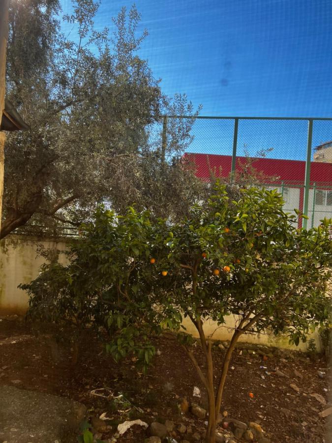 Amion Apartment In Center Of Tirana Bagian luar foto